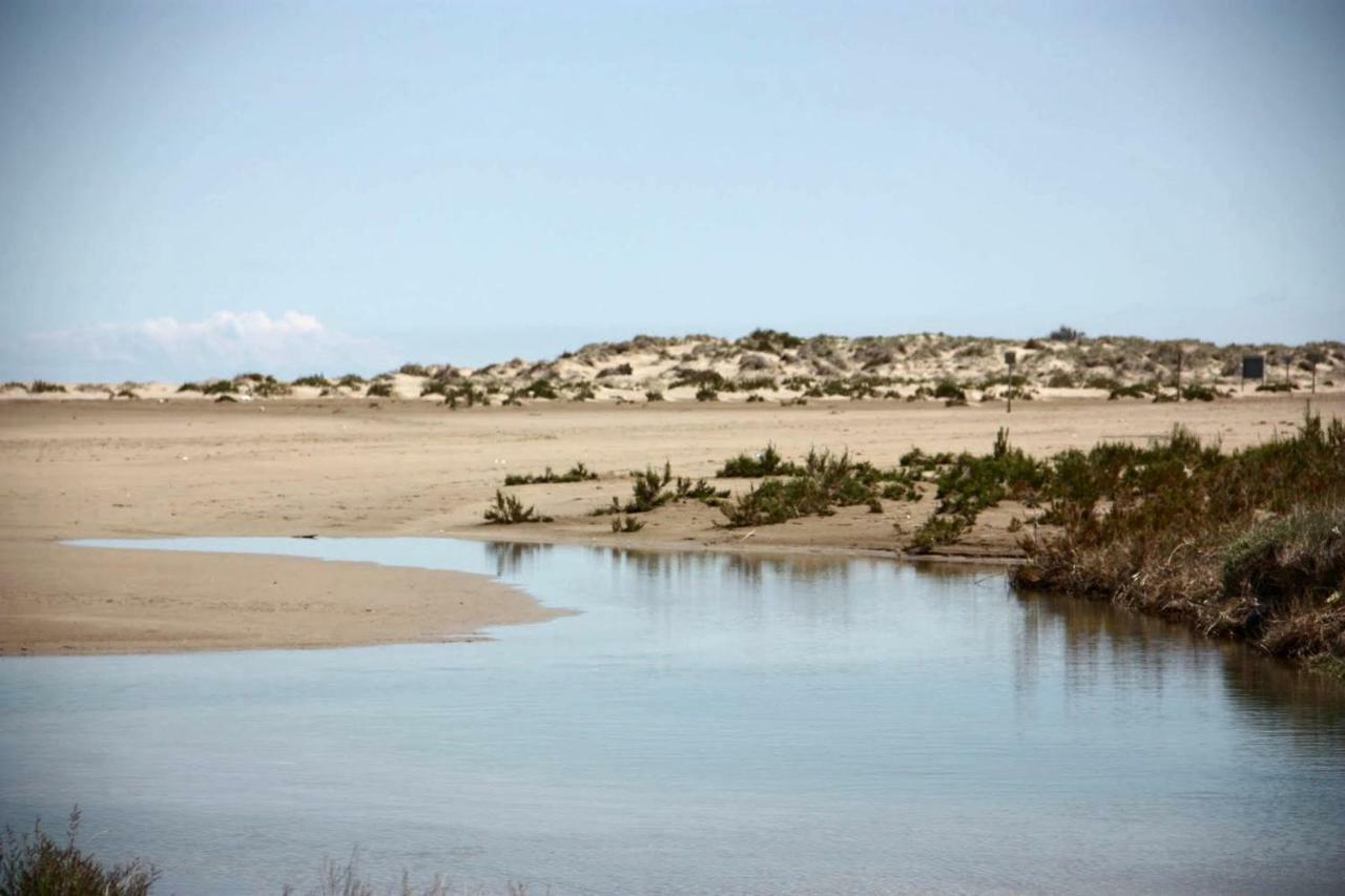 Mi Apartamento En El Delta Del Ebro+ Deltebre Eksteriør bilde