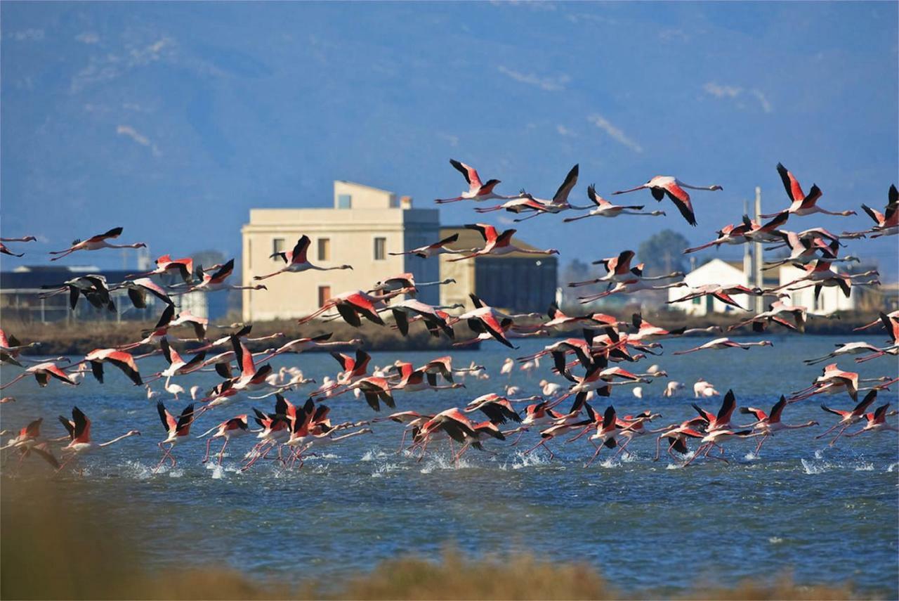 Mi Apartamento En El Delta Del Ebro+ Deltebre Eksteriør bilde