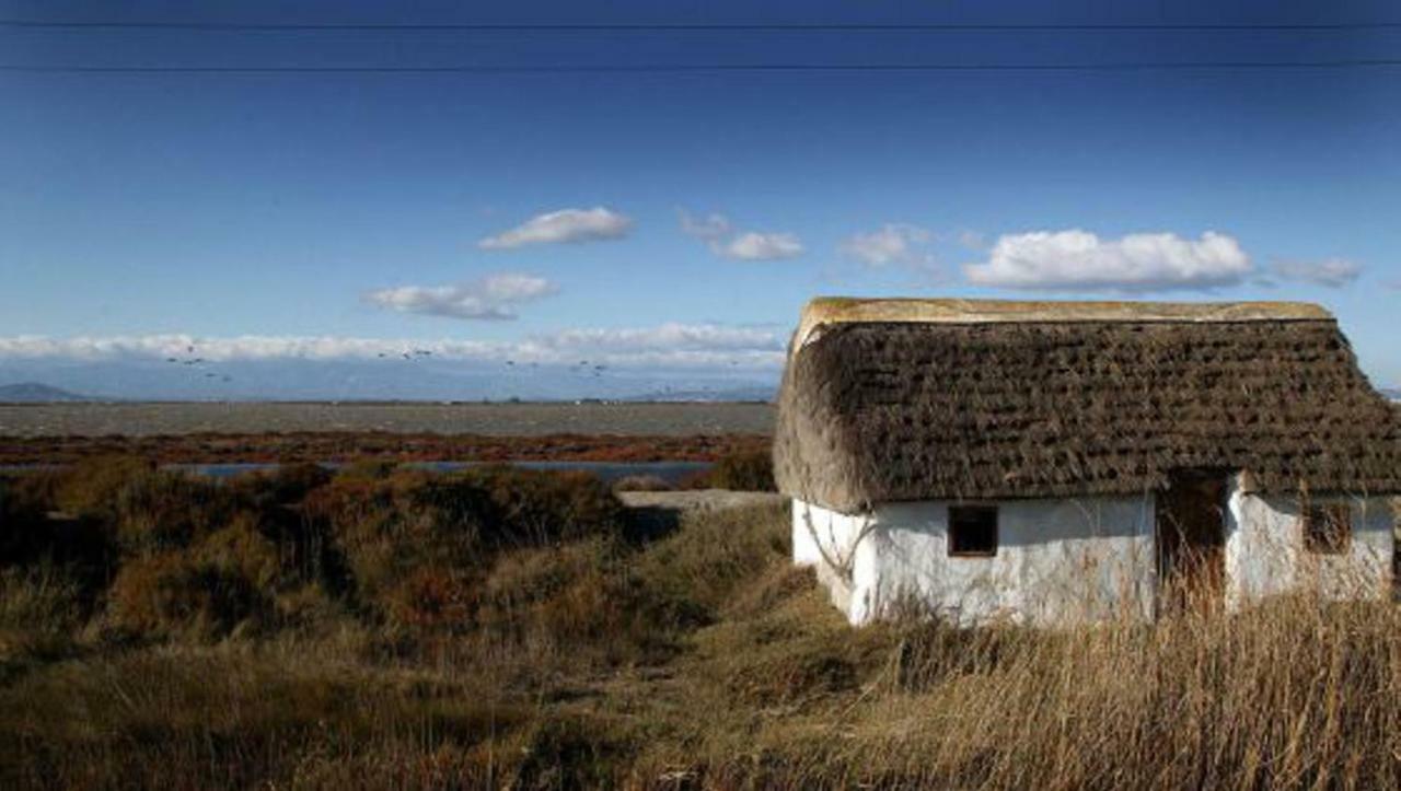 Mi Apartamento En El Delta Del Ebro+ Deltebre Eksteriør bilde