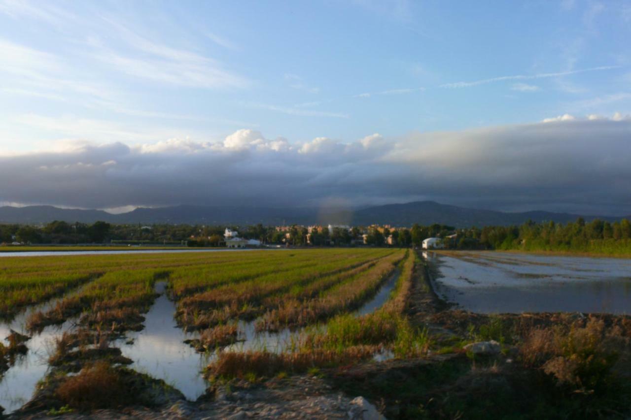 Mi Apartamento En El Delta Del Ebro+ Deltebre Eksteriør bilde